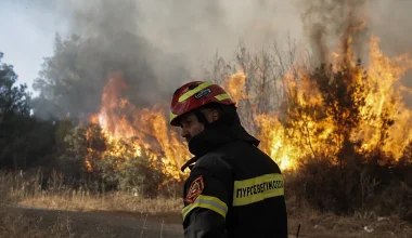 Χαλκιδική: Ανεξέλεγκτη η φωτιά στη Νέα Καλλικράτεια – Καίγονται σπίτια!