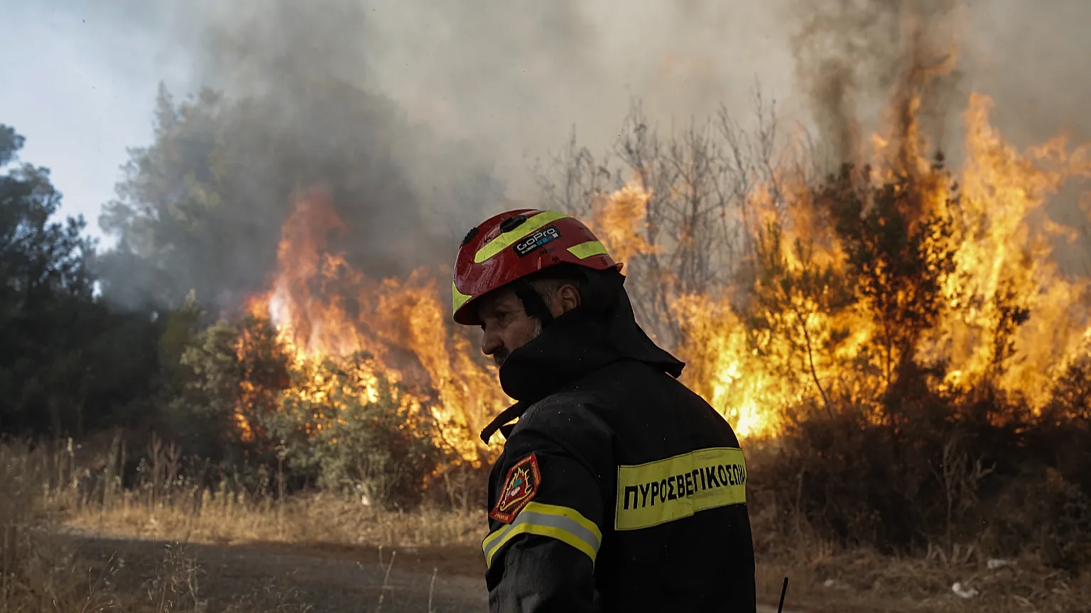 Χαλκιδική: Ανεξέλεγκτη η φωτιά στη Νέα Καλλικράτεια – Καίγονται σπίτια!