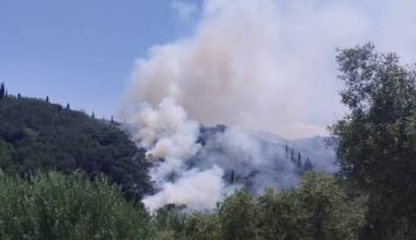 Συνελήφθη 88χρονος για πρόκληση πυρκαγιάς από αμέλεια στα Γρεβενά: Του επιβλήθηκε πρόστιμο άνω των 1.500 ευρώ