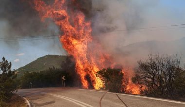 Φωτιά στον Ατάβυρο στη Ρόδο: Μεγάλη κινητοποίηση επίγειων και εναέριων δυνάμεων