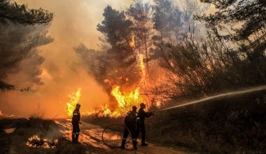 Θεσσαλονίκη: Κινητοποίηση για φωτιά στα Κουφάλια