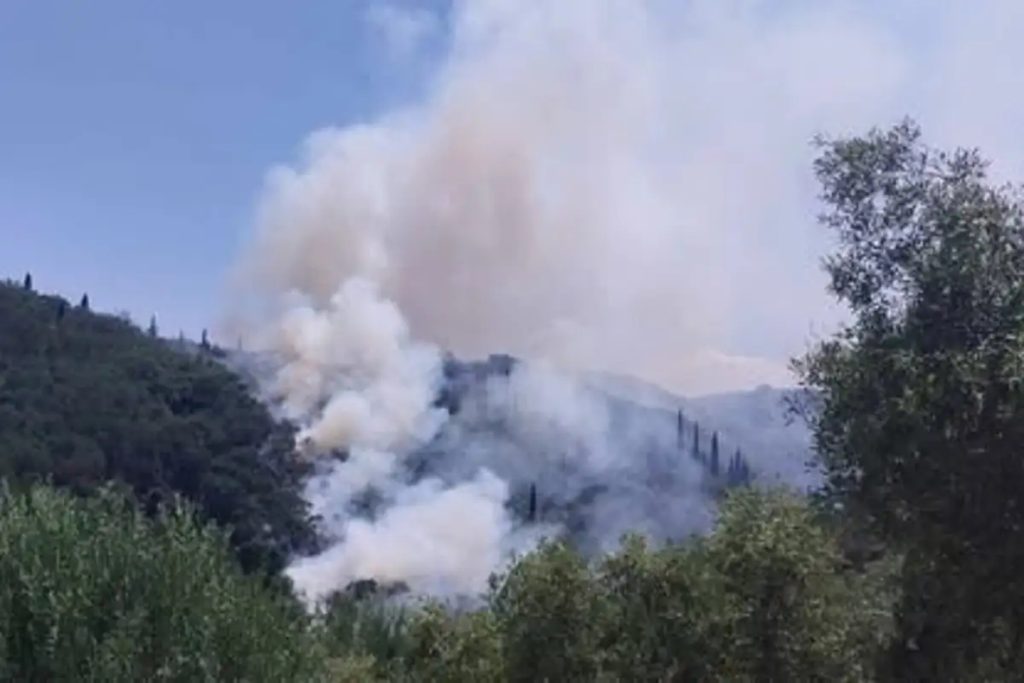 Φωτιά σε αγροτοδασική έκταση στα Βασιλικά Κέρκυρας (βίντεο)