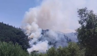 Φωτιά σε αγροτοδασική έκταση στα Βασιλικά Κέρκυρας (βίντεο)