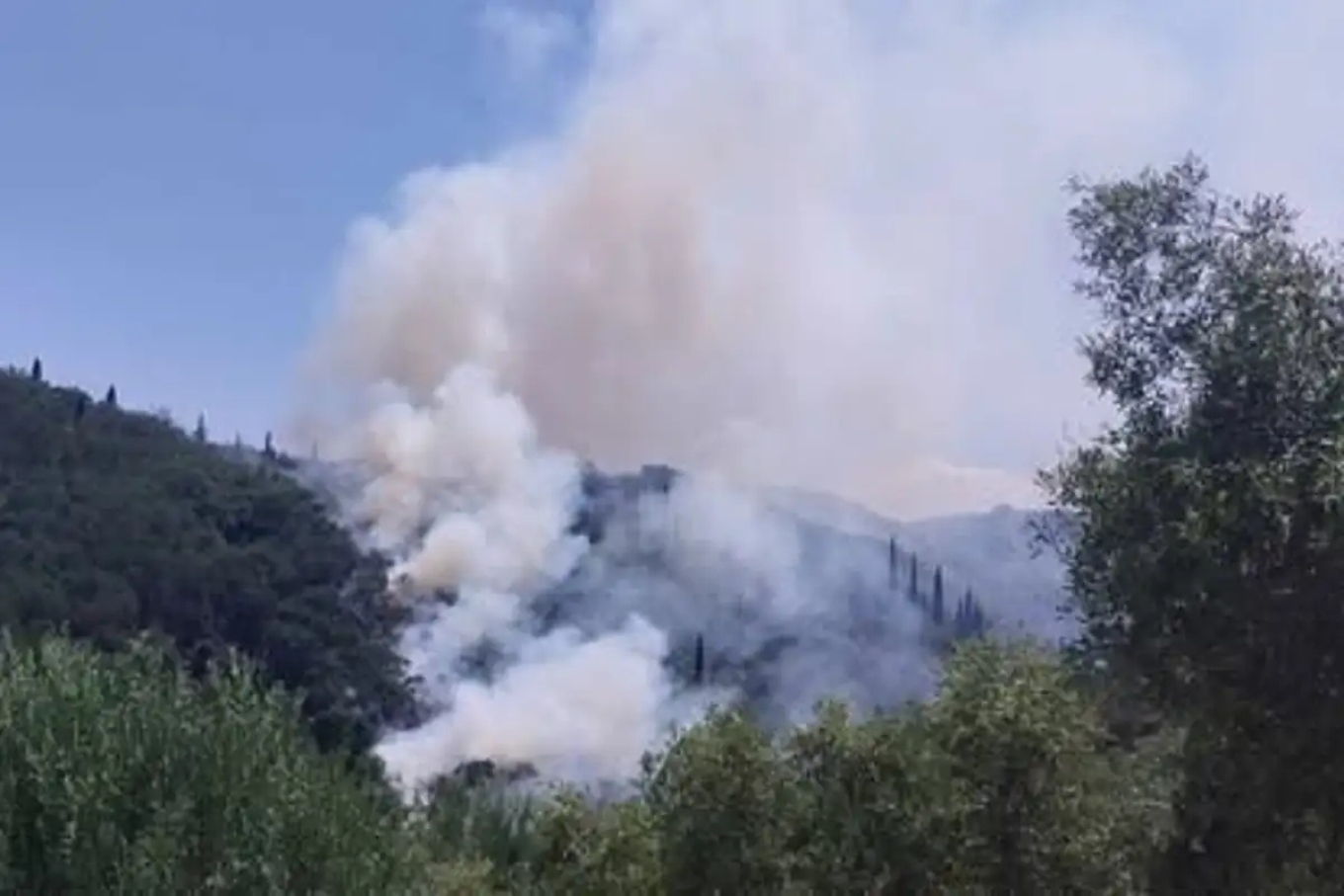 Φωτιά σε αγροτοδασική έκταση στα Βασιλικά Κέρκυρας (βίντεο)