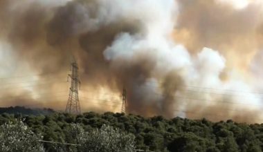 Κάτοικος Οινόης: «Το έχουμε ξαναζήσει, η φωτιά επέστρεψε στα σπίτια μας» (βίντεο)