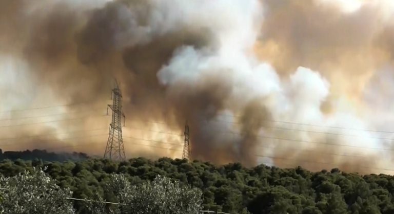 Κάτοικος Οινόης: «Το έχουμε ξαναζήσει, η φωτιά επέστρεψε στα σπίτια μας» (βίντεο)