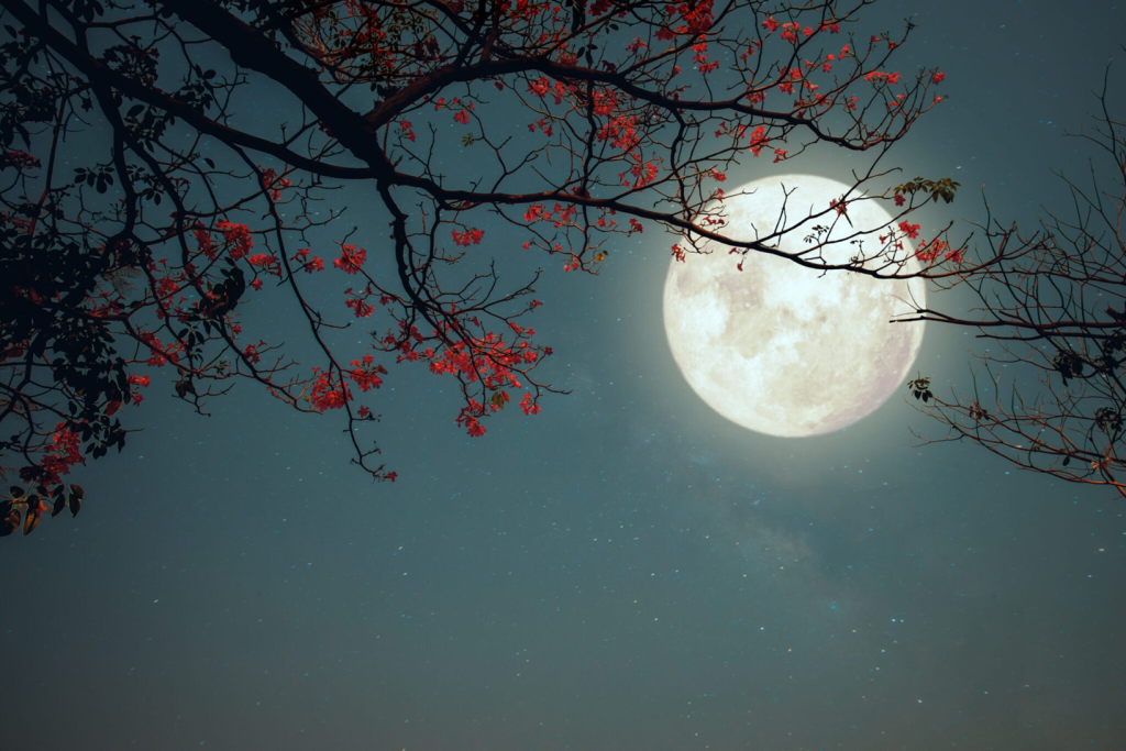 Πανσέληνος Ιουλίου: Πότε θα φωτίσει τον νυχτερινό ουρανό