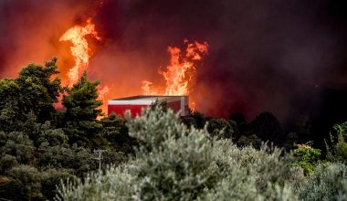 Χειροπέδες σε άνδρα για πρόκληση πυρκαγιάς στην Κατερίνη: Πρόστιμα σε Θεσσαλονίκη, Πέλλα και Πρέβεζα