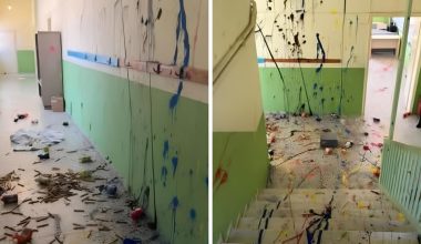Άγνωστοι βανδάλισαν το 2ο Δημοτικό Σχολείο Νάξου: «Καταπέλτης» ο Διευθυντής – Δείτε φωτογραφίες