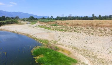 «Αδειάζει» επικίνδυνα ο θεσσαλικός Πηνειός: Πού οφείλεται η λειψυδρία σύμφωνα με τους ειδικούς (φωτογραφίες)