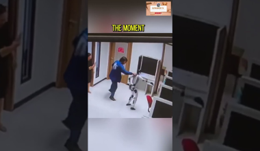 Ανθρωποειδές ρομπότ «επαναστάτησε» και επιτέθηκε σε ανθρώπους – Δείτε το βίντεο που έγινε viral