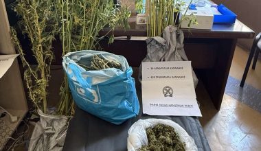 Xειροπέδες σε 66χρονο στη Ρόδο για κατοχή και καλλιέργεια δενδρυλλίων κάνναβης – Δείτε βίντεο