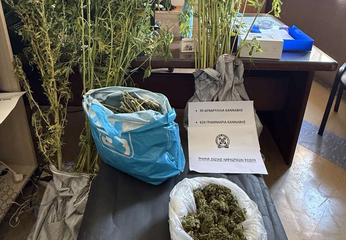 Xειροπέδες σε 66χρονο στη Ρόδο για κατοχή και καλλιέργεια δενδρυλλίων κάνναβης – Δείτε βίντεο