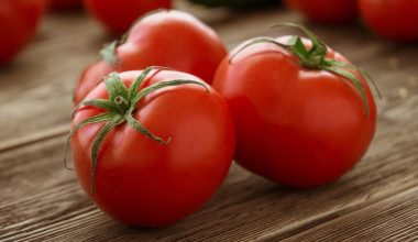 Τι συμβαίνει στο σώμα όταν τρώμε ντομάτα κάθε μέρα για 30 ημέρες – Οι αλλαγές που μπορεί να παρατηρήσουμε