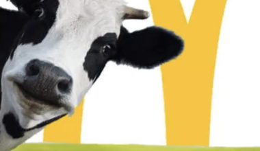 Από που βρίσκουν τα McDonald’s 24 εκατ. βόδια το χρόνο για να παράξουν τα χάμπουργκέρ τους;