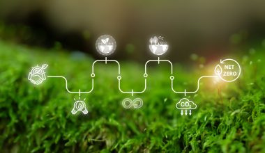 Η ενέργεια του αύριο χτίζεται σήμερα: Η ESG στρατηγική της ΔΕΠΑ στην πράξη