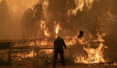 Ισπανία: Μεγάλη δασική πυρκαγιά στην Ανδαλουσία – Τουλάχιστον 12 νεκροί (βίντεο)
