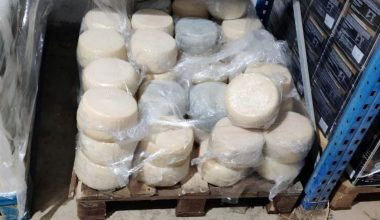 Κατασχέθηκαν πάνω από 2 τόνοι γαλακτοκομικών από τη Βουλγαρία – Μεταφέρονταν χωρίς ψύξη