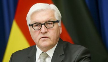 O Σταϊνμάιερ  ανησυχεί για την «δημοκρατία» λόγω της ανόδου του… Afd