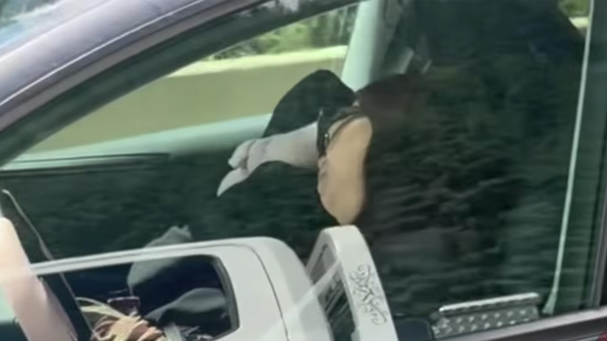 Οδηγός κοιμήθηκε σε Tesla που κινούνταν με 100 χλμ./ώρα – Στο πίσω κάθισμα βρίσκονταν τα παιδιά της (βίντεο)