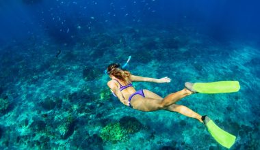 Snorkeling: Η απλή δραστηριότητα που ανοίγει έναν άγνωστο κόσμο κάτω από τη θάλασσα