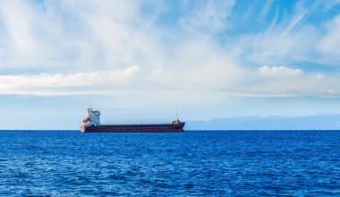 Η Ουκρανία έχει κτυπήσει τουλάχιστον 116 ρωσικά πλοία στην Αζοφική Θάλασσα μέσα σε εννέα ημέρες! (βίντεο)