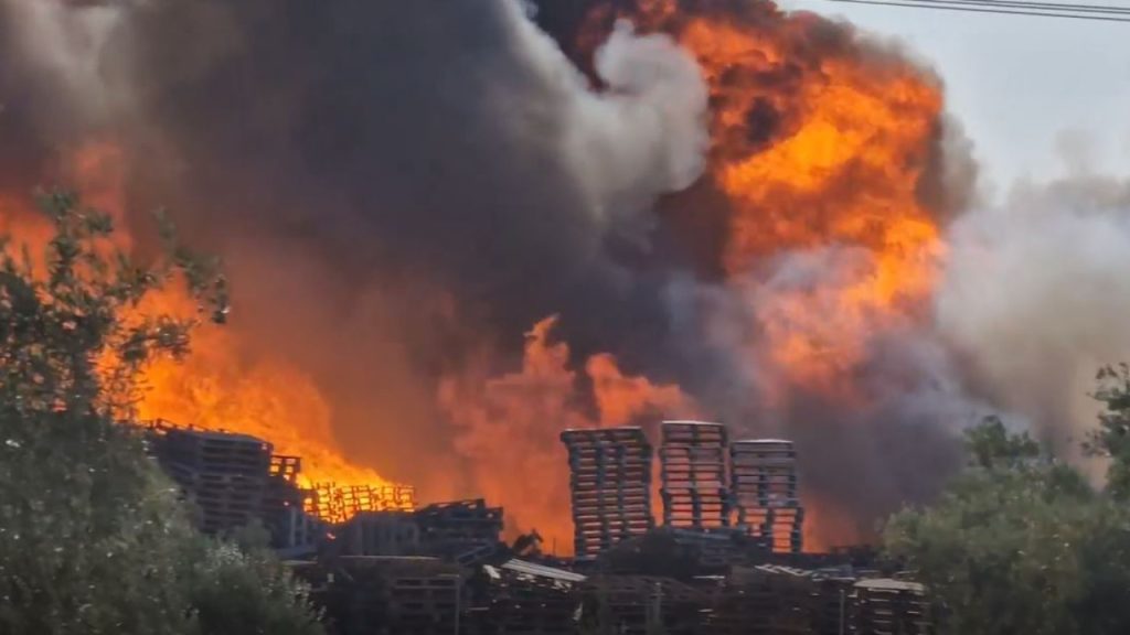 Συνελήφθη 46χρονος στον Ασπρόπυργο για πρόκληση πυρκαγιάς εκ προθέσεως – Το πρόστιμο που του επιβλήθηκε