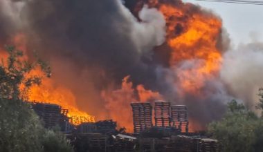 Συνελήφθη 46χρονος στον Ασπρόπυργο για πρόκληση πυρκαγιάς εκ προθέσεως – Το πρόστιμο που του επιβλήθηκε