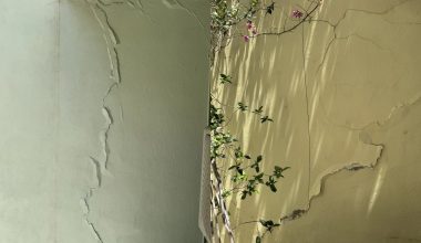 Κυψέλη: Ρωγμές σε πάνω από 15 πολυκατοικίες & καθιζήσεις έως 20 εκατοστά – Ανησυχία για τα έργα του Μετρό (φώτο)