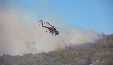 Μεσσηνία: Φωτιά σε δασική έκταση στην περιοχή Βλαχόπουλο – Προειδοποιητικό μήνυμα στους κατοίκους