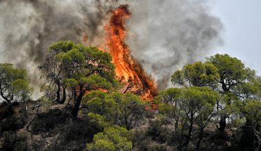 Χειροπέδες σε δύο άτομα για πρόκληση πυρκαγιών σε Καβάλα και Κομοτηνή