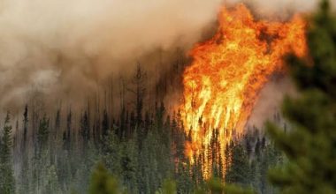 Σε πύρινο κλοιό ο Καναδάς με πάνω από 800 μέτωπα: Σε πολιτείες των ΗΠΑ φτάνει ο καπνός