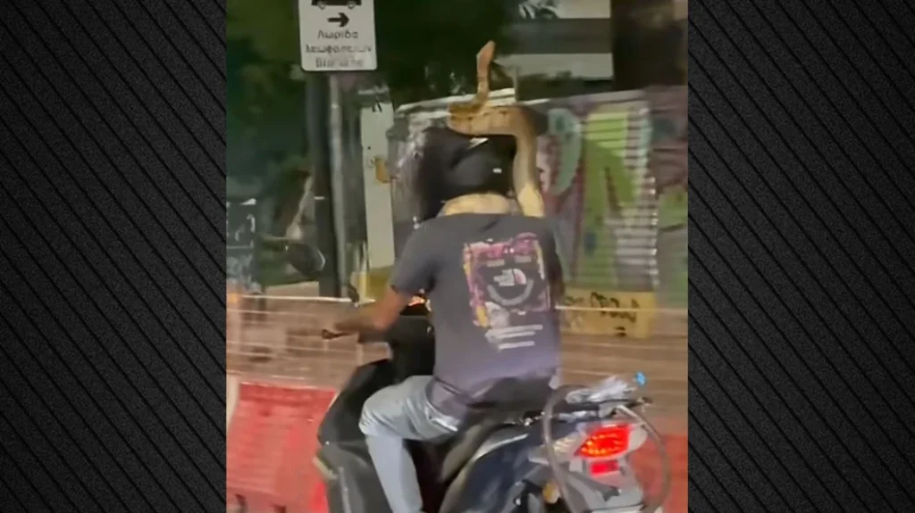 «Με φίδι στο λαιμό»: Πρωτοφανές και επικίνδυνο περιστατικό με μοτοσικλετιστή στην Αθήνα
