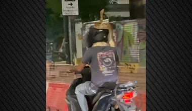 «Με φίδι στο λαιμό»: Πρωτοφανές και επικίνδυνο περιστατικό με μοτοσικλετιστή στην Αθήνα