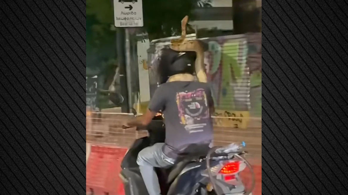 «Κυκλοφορούσε με φίδι στο λαιμό»: Πρωτοφανές και επικίνδυνο περιστατικό με μοτοσικλετιστή στην Αθήνα
