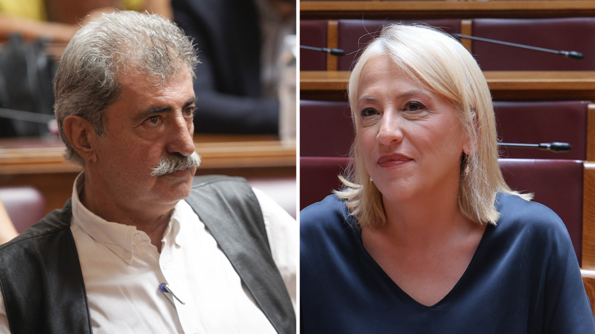Εξελέγη πρόεδρος του ΣΥΡΙΖΑ η Ρένα Δούρου: Τι είπε ο Π.Πολάκης που εμφανίστηκε ενοχλημένος κατά την ψηφοφορία