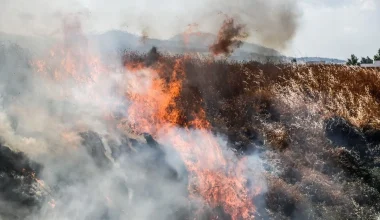 Συνελήφθη πρόεδρος κοινότητας, ο αδερφός του και ένας πυροσβέστης για εμπρησμούς στους Γαργαλιάνους Μεσσηνίας