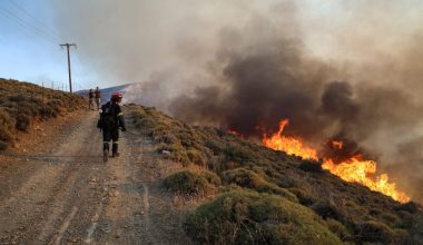 Συνελήφθησαν ασυνείδητοι αλλοδαποί σε Αθήνα και Χίο: Γυναίκα έκαψε ξερά χόρτα και άνδρας πέταξε αποτσιγάρο σε δάσος