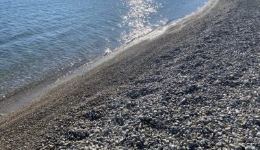 Αναστάτωση σε παραλία της Κατερίνης: Βρέθηκε σορός άνδρα σε προχωρημένη σήψη