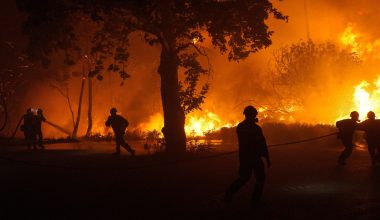Οδηγήθηκαν στον εισαγγελέα οι τρεις συλληφθέντες για τους εμπρησμούς και του εκβιασμούς στη Μεσσηνία