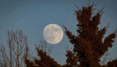 Πανσέληνος Ιουλίου: Πότε θα φωτίσει τον ουρανό το «Φεγγάρι του Κόκκινου Ελαφιού» και ποια ζώδια θα επηρεάσει