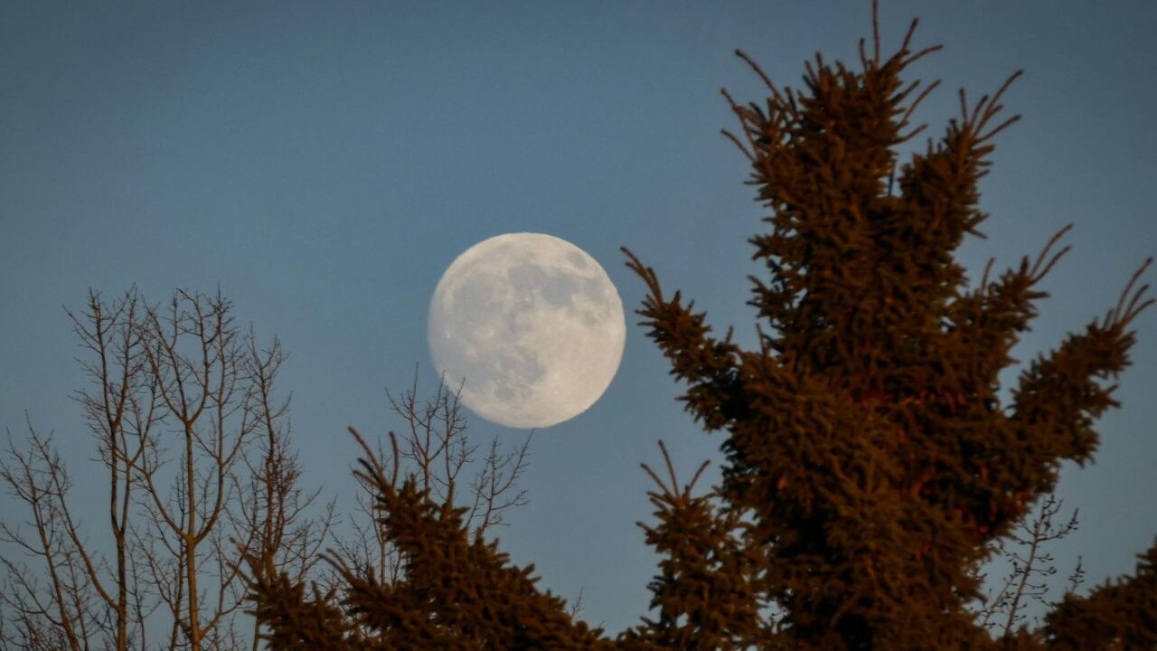 Πανσέληνος Ιουλίου: Πότε θα φωτίσει τον ουρανό το «Φεγγάρι του Κόκκινου Ελαφιού» και ποια ζώδια θα επηρεάσει