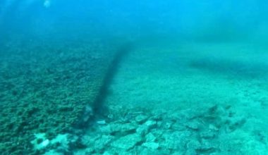 Σπουδαία ανακάλυψη: Υποθαλάσσιος δρόμος 7.000 ετών εντοπίστηκε στον βυθό της Αδριατικής (βίντεο)