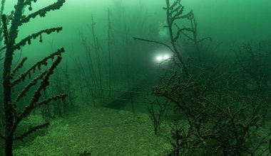 Geiseltalsee: Η λίμνη στη Γερμανία που κρύβει έναν ολόκληρο κόσμο 80 μέτρα κάτω από το νερό (βίντεο)