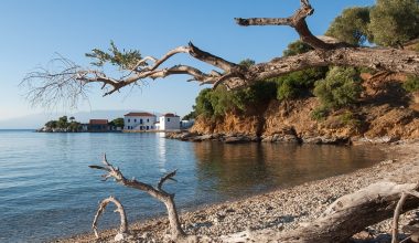 Πήλιο: Καλοκαιρινό μπάνιο κατέληξε σε ξύλο – Σκάφος προκάλεσε ένταση σε παραλία