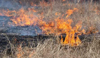Χειροπέδες σε 27χρονο στο Κορωπί: Διέπραξε ρευματοκλοπή και προκάλεσε πυρκαγιά