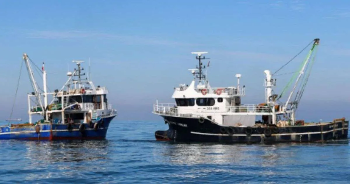 Καταγγελίες για τουρκικές μηχανότρατες στο Αιγαίο – Τι απαντά το Λιμενικό (βίντεο)