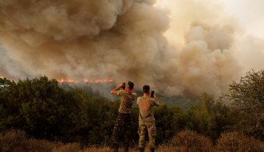 Χειροπέδες σε 19χρονο Καναδό στον Έβρο: Υπερθέρμανε το όχημά του και προκάλεσε πυρκαγιά από ην ανάφλεξη χόρτων