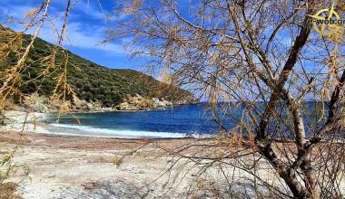 Η κρυφή παραλία της Εύβοιας με τα γαλαζοπράσινα νερά που απέχει μόλις 2 ώρες από την Αθήνα
