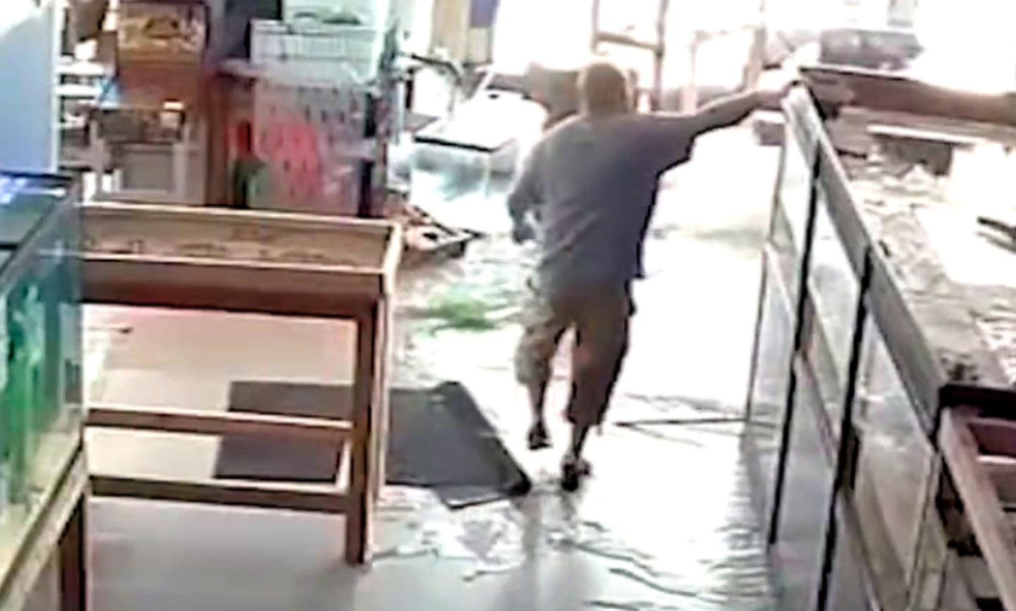 Δείτε βίντεο: Η στιγμή που ενυδρείο σε petshop του Σικάγο γίνεται «κομμάτια» – Σκοτώθηκαν πάνω από 350 ψάρια